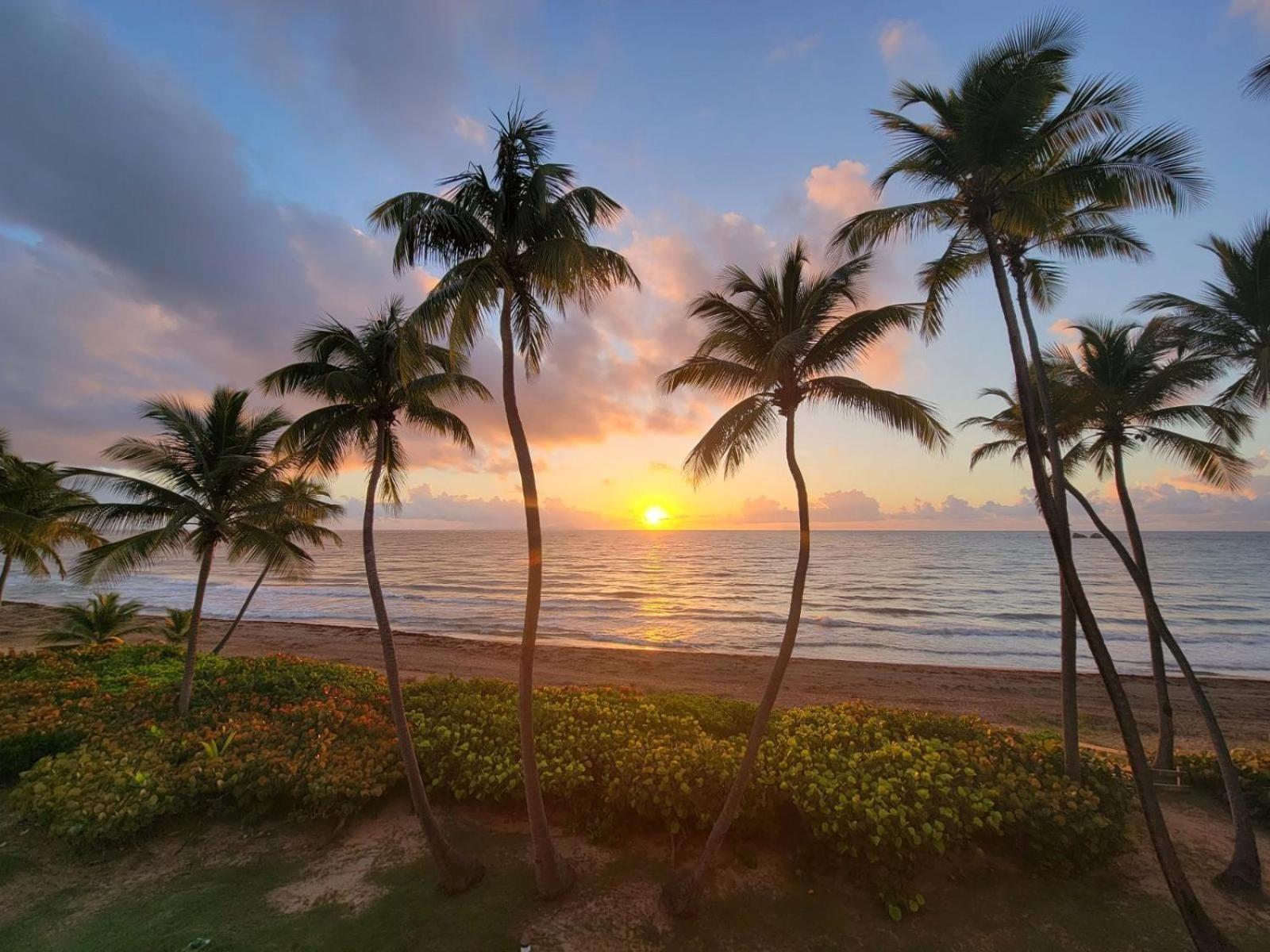 Bv103 - Amazing Oceanfront Condo Steps From Beach Humacao Exterior foto